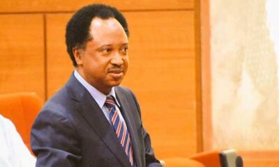 Niger: Be careful, don’t weaponise electricity – Shehu Sani advises Tinubu