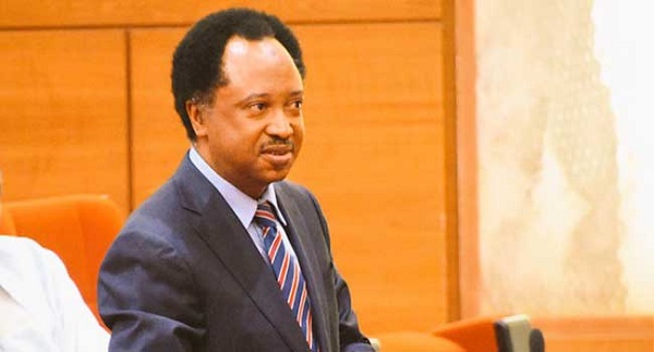 Niger: Be careful, don’t weaponise electricity – Shehu Sani advises Tinubu