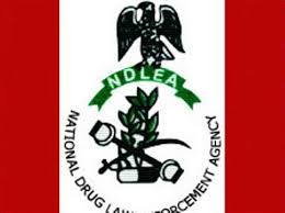 National Drug Law Enforcement Agency