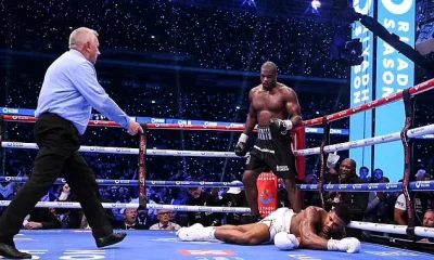 joshua knockout