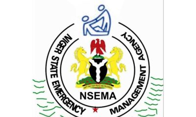 NSEMA 1