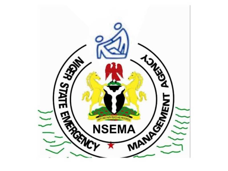 NSEMA 1